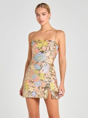 Nadine Merabi Leila Floral Dress NWT